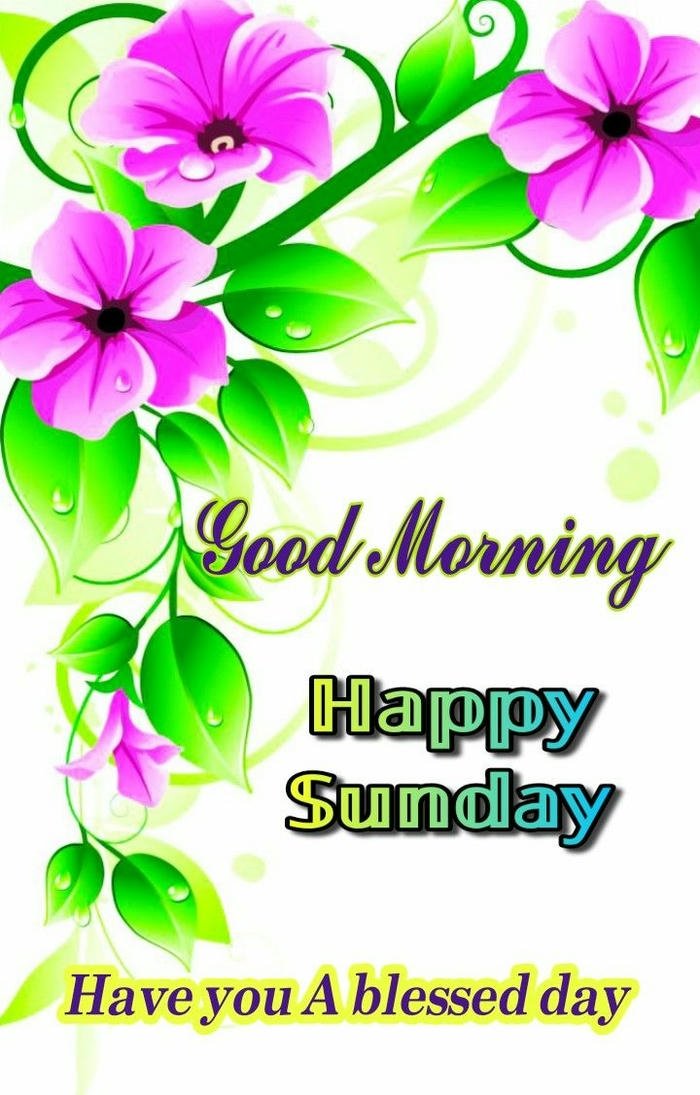 god morning hd smile good sunday full hd images quotes happy