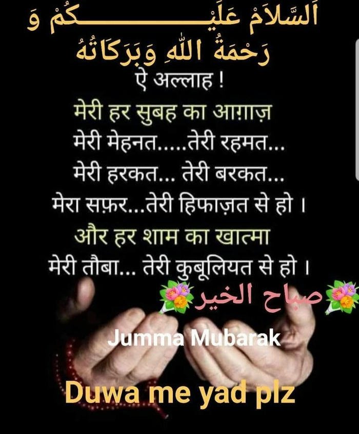 good aesthetic cute peaceful image shayari flowers morning blessing