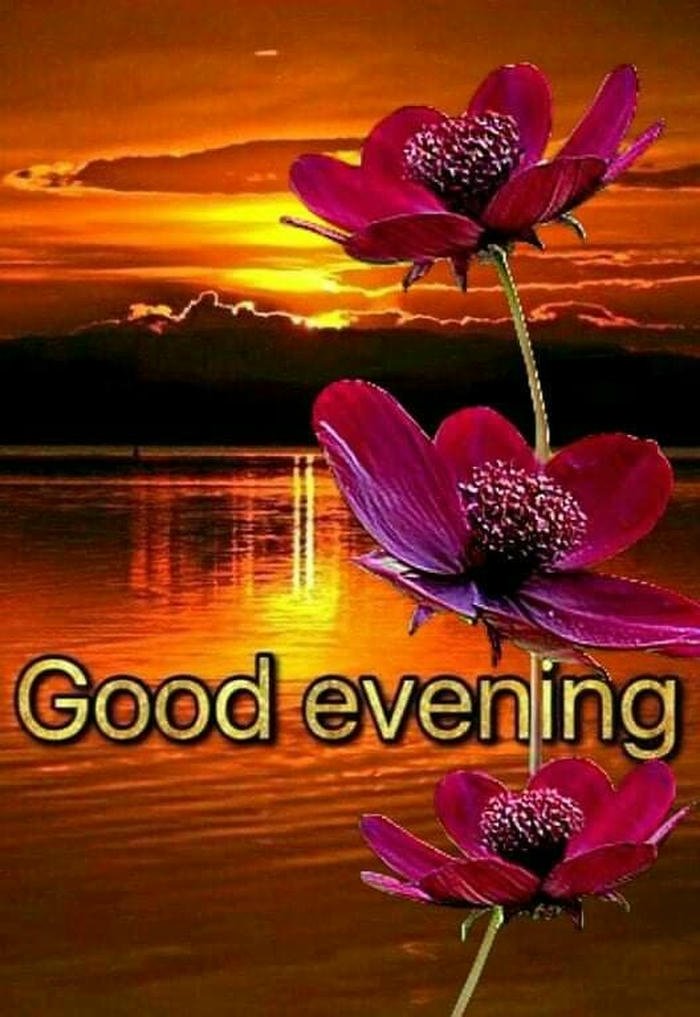 good evening images for friends download free