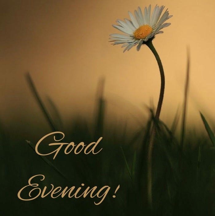 good evening images for friends full hd