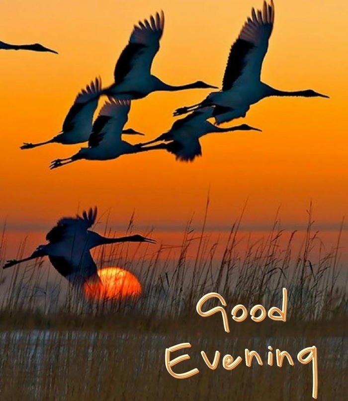 good evening images for friends with nature