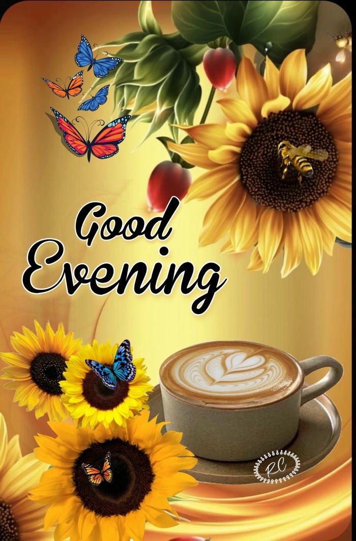 good evening tea cup images photo warm cozy relaxing