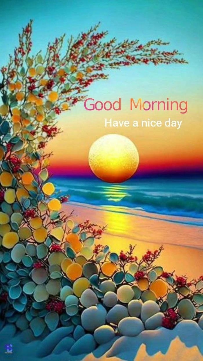 good hd beautiful happy morning positive images special sunrise