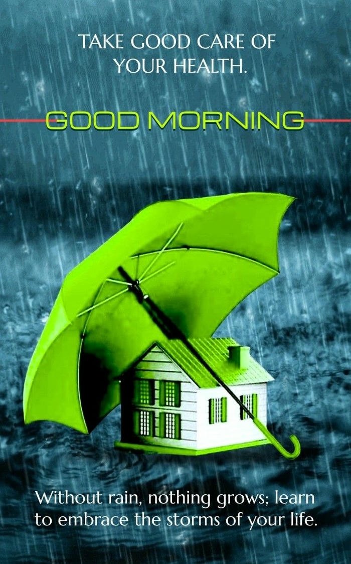 good morning hd images beautiful photo rain peaceful flowers