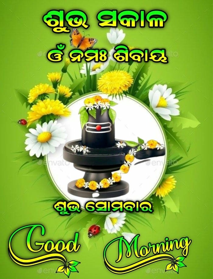 good nature aesthetic odia quotes morning in photo image download