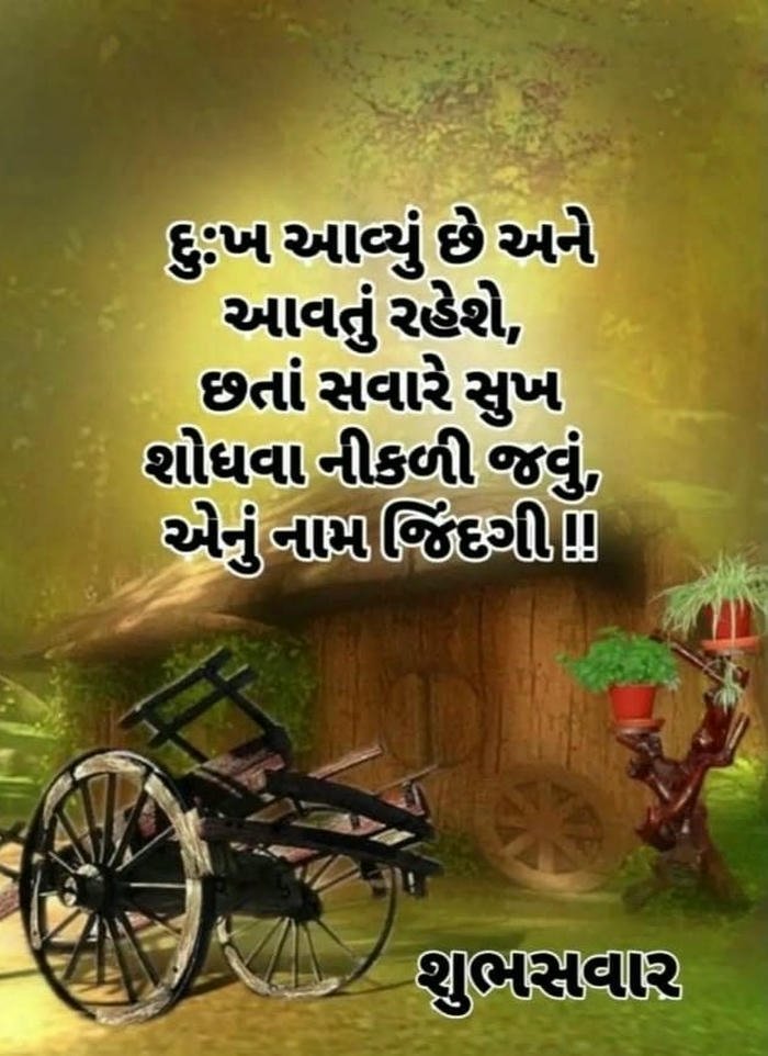 gujarati hd photo quotes morning beautiful image nature aesthetic good