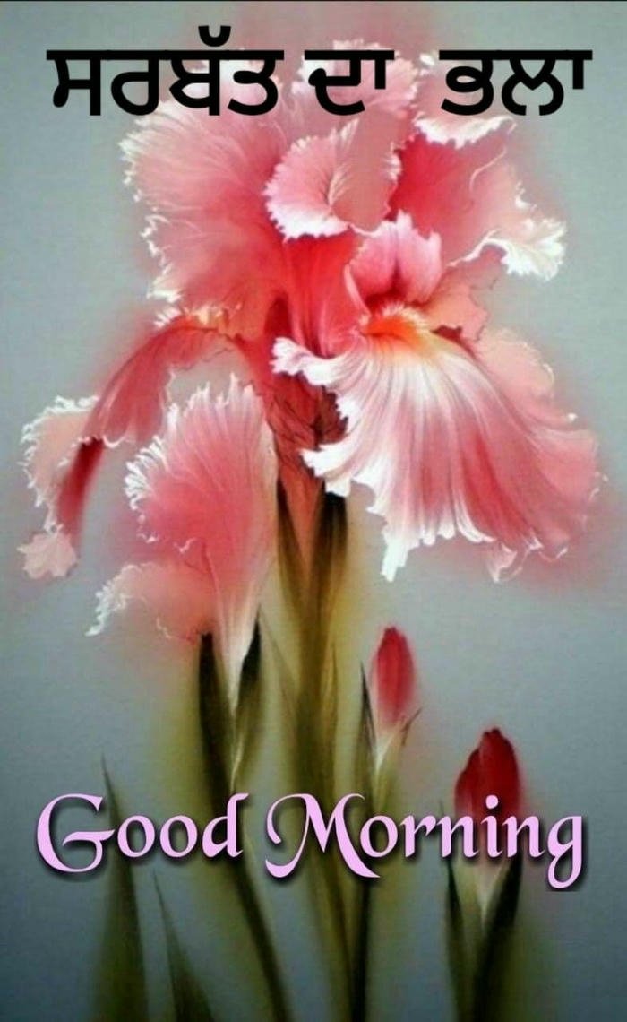 happy images punjabi morning photo picture in love special good