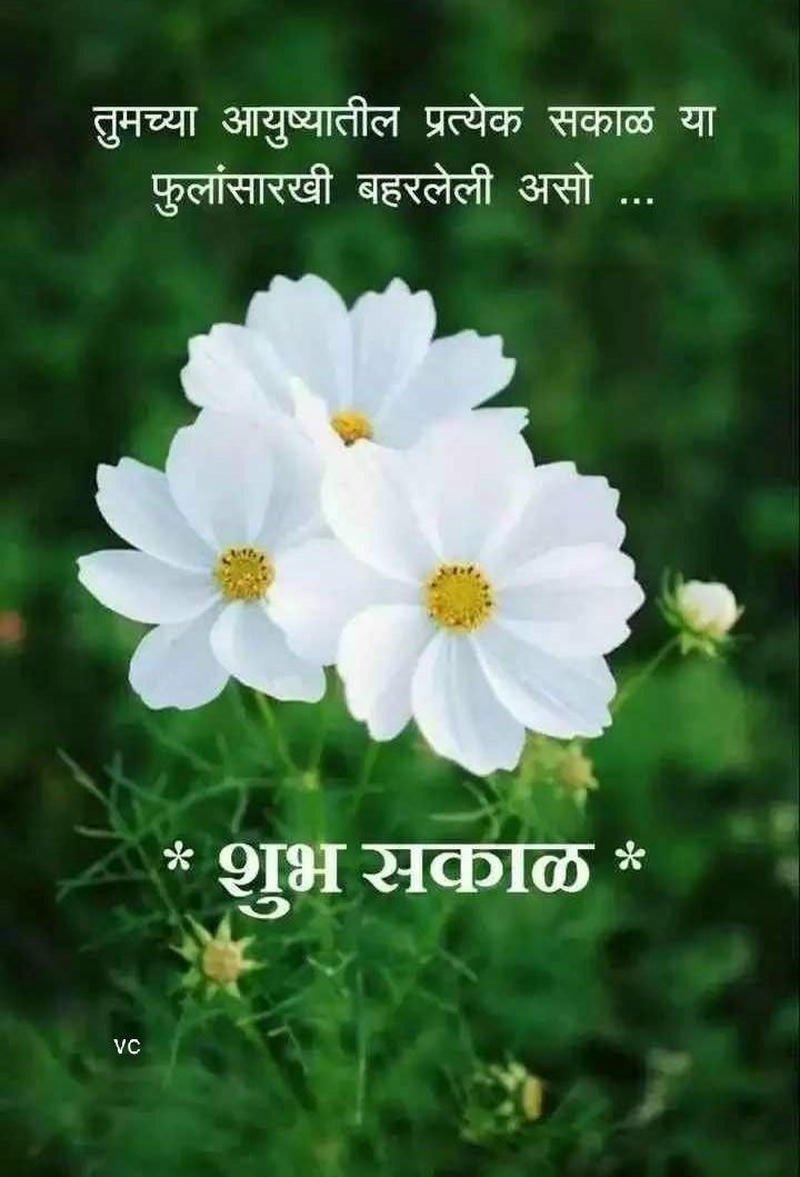 happy morning wallpaper images peaceful new marathi good greeting flowers
