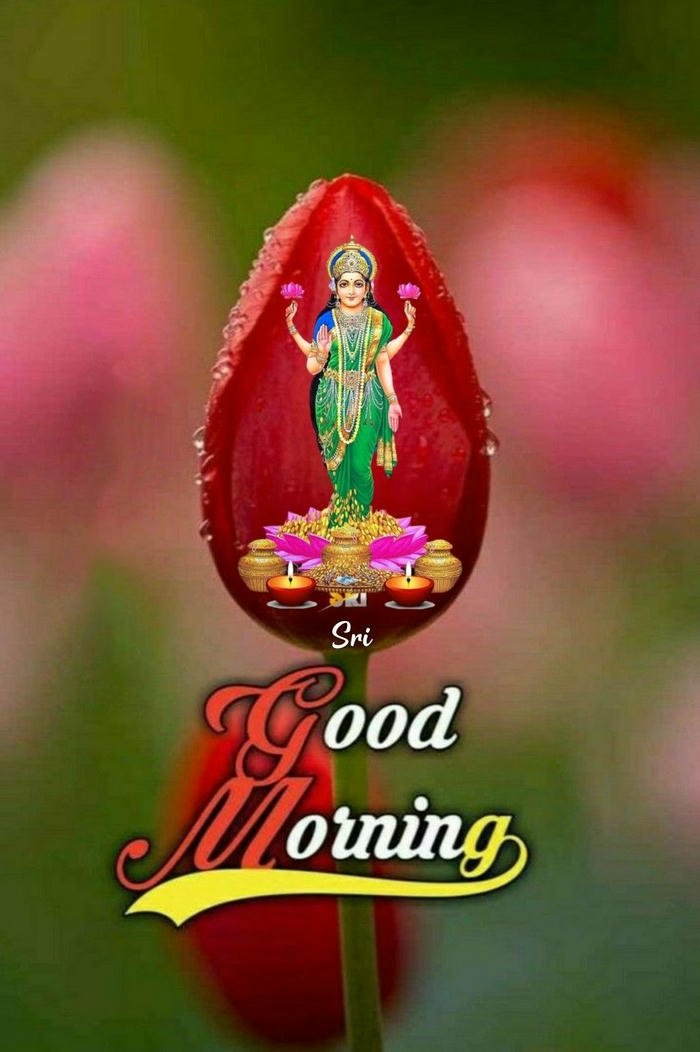 hd aesthetic morning picture photo flowers god monday images good