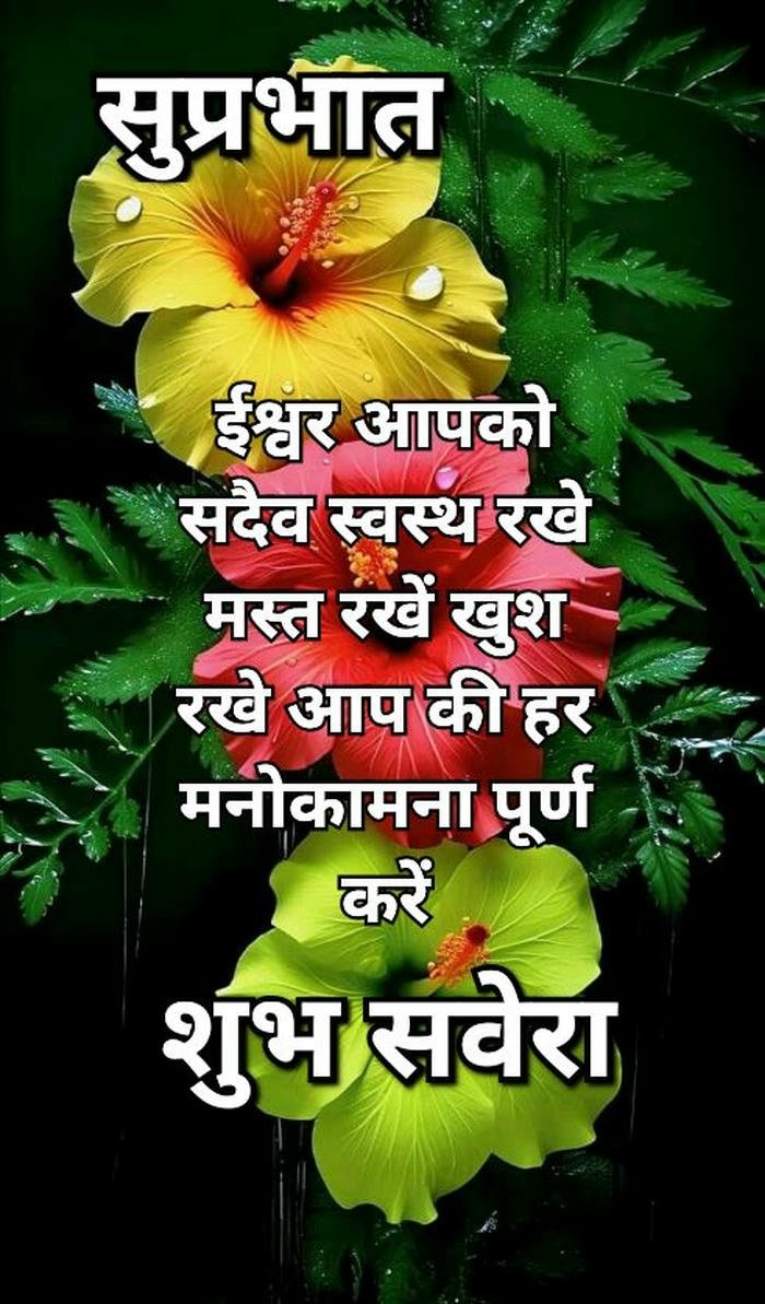 image aesthetic love morning cute shayari beautiful full hd good