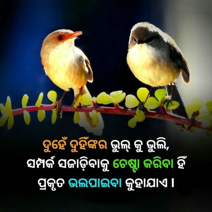 image good morning blessing romantic aesthetic in peaceful odia love