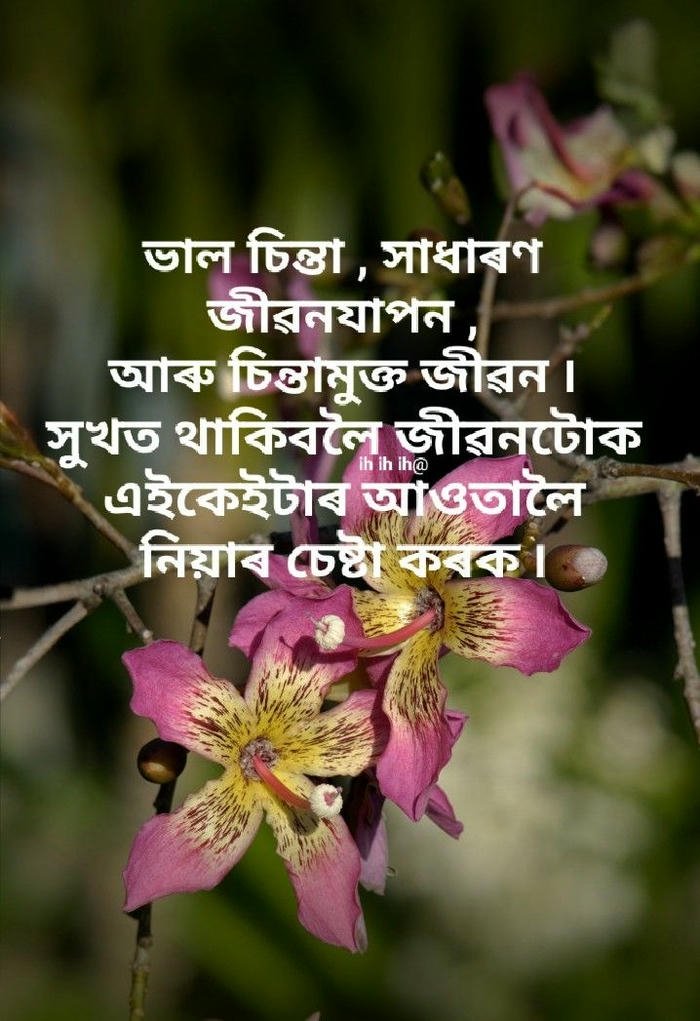 image hd gujarati morning quotes download blessing photo good