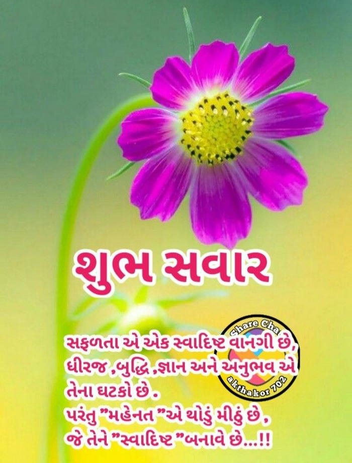 image love romantic nature special morning gujarati good hd