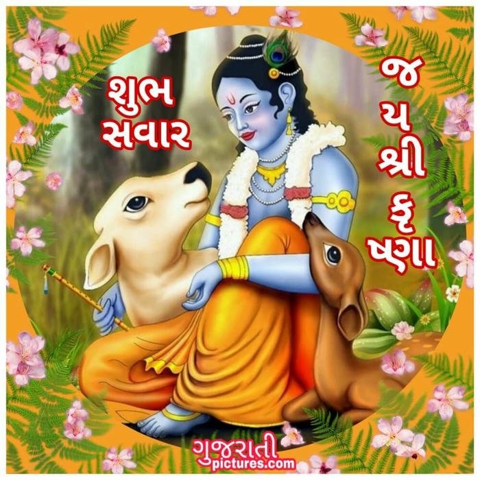image morning gujarati quotes good aesthetic special download photo