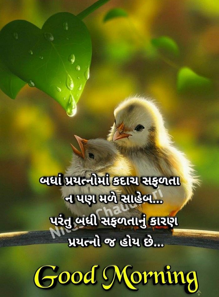 image morning love blessing inspirational good beautiful gujarati photo