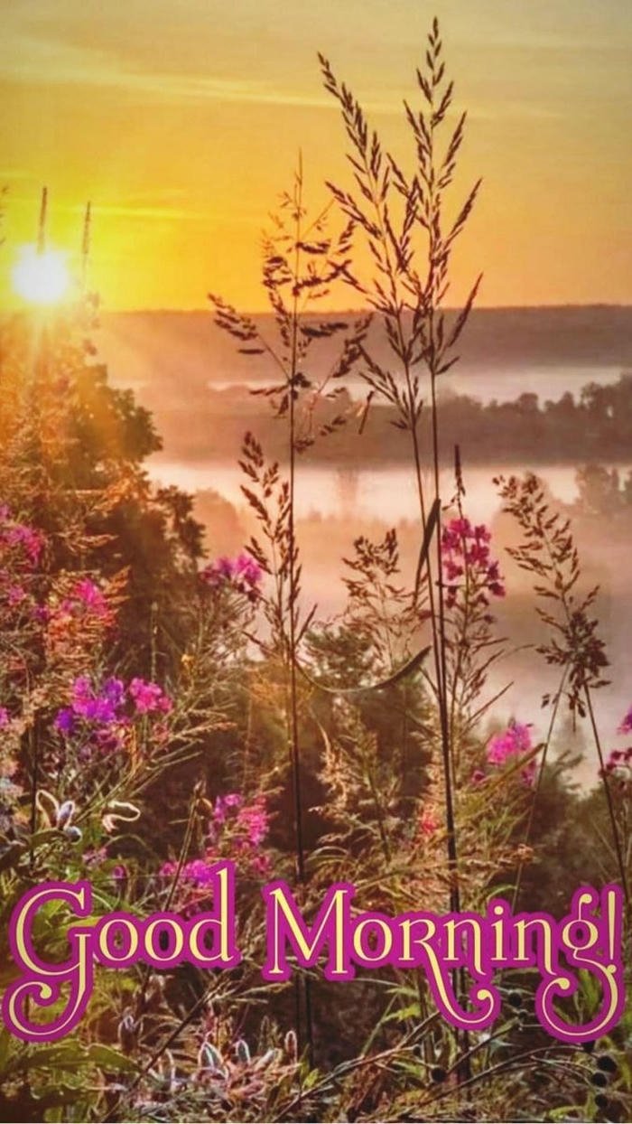 images best romantic morning beautiful hd good cute sunrise