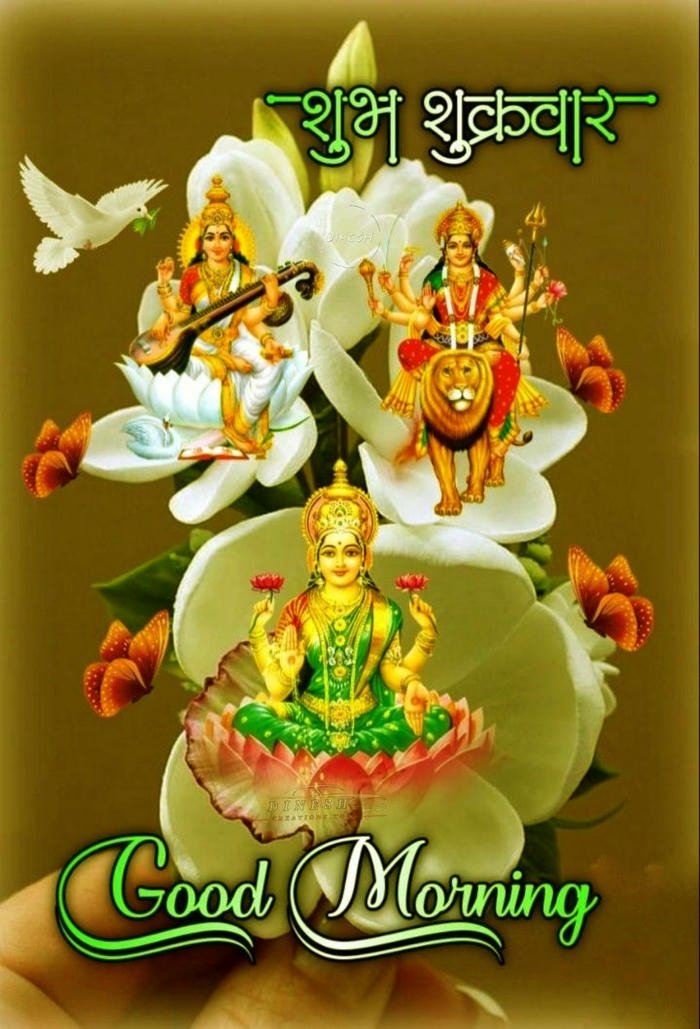 images flowers greeting morning quotes beautiful blessing bhagwan good
