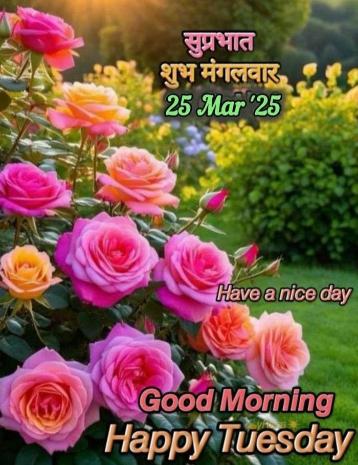 images god blessing tuesday happy best spiritual morning good photo