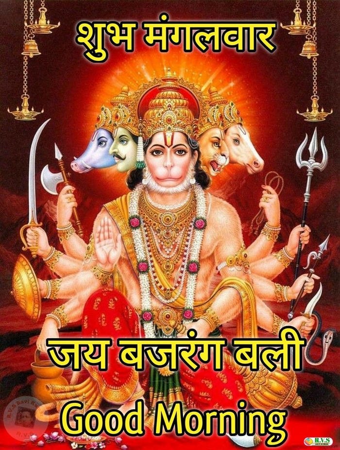 images happy nature god flowers tuesday download greeting good morning
