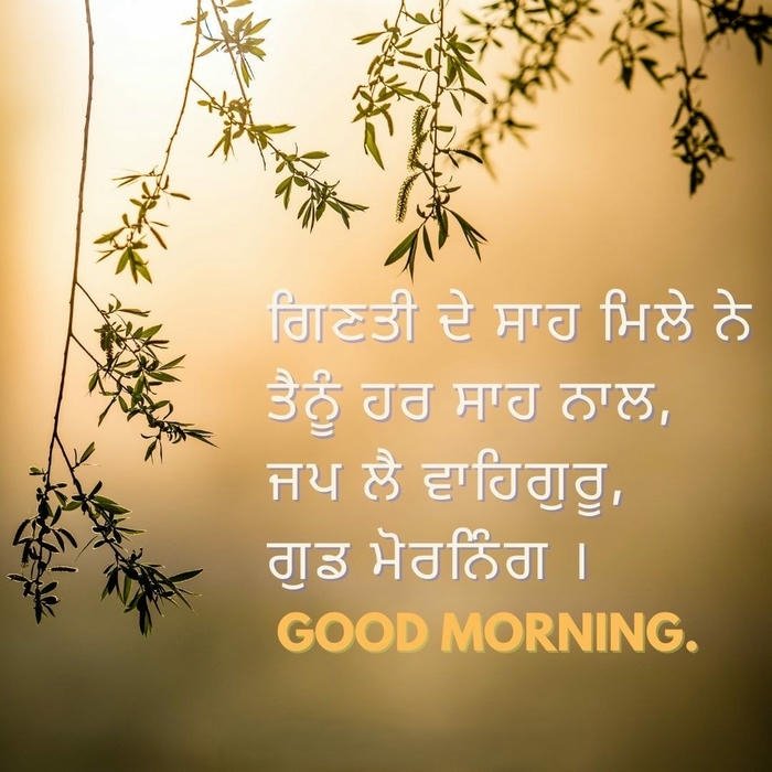 images in love morning aesthetic flowers good punjabi special beautiful