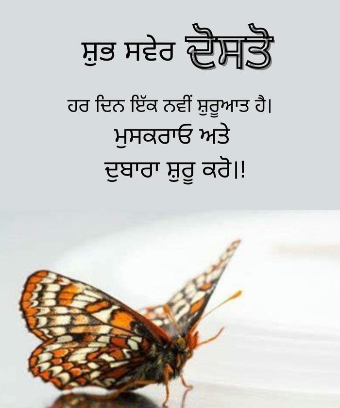 images in punjabi smile morning good wallpaper photo hd special