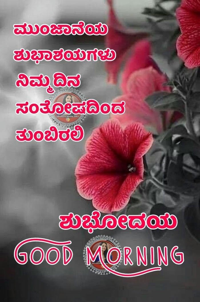 images morning download in good kannada flowers smile romantic nature