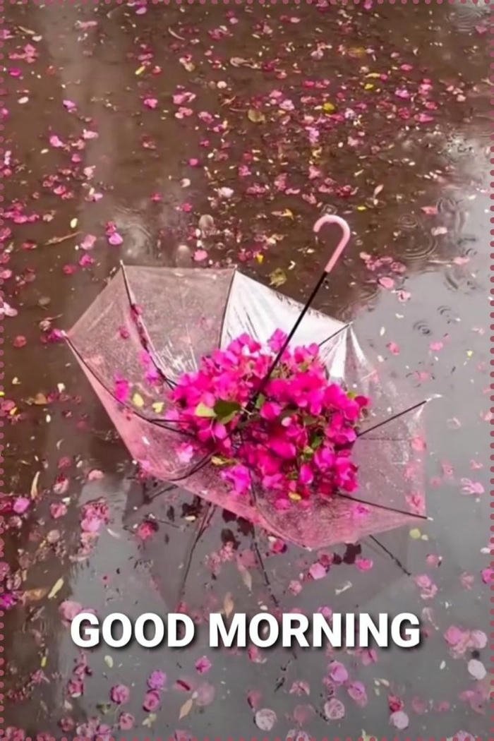 images morning good happy photo hd rain quotes blessing
