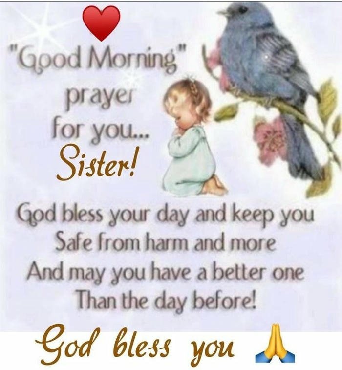 images nature aesthetic romantic morning sister quotes good full hd (2)