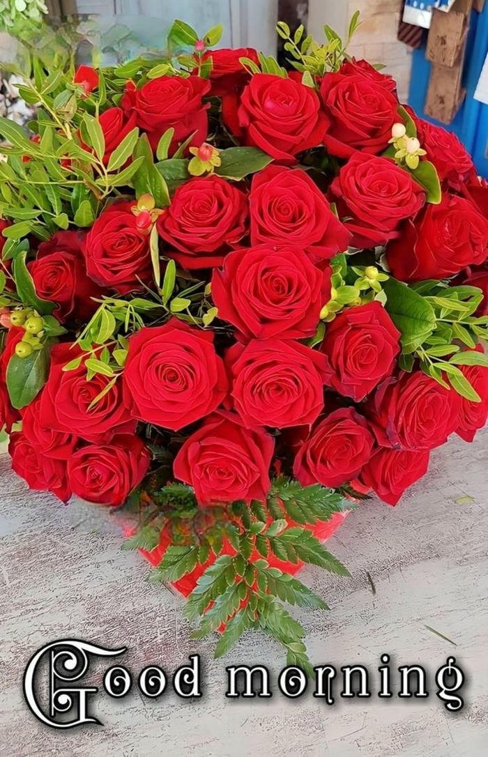 images nature good red spiritual morning aesthetic rose best blessing