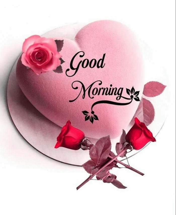 images special romantic morning aesthetic good download wallpaper