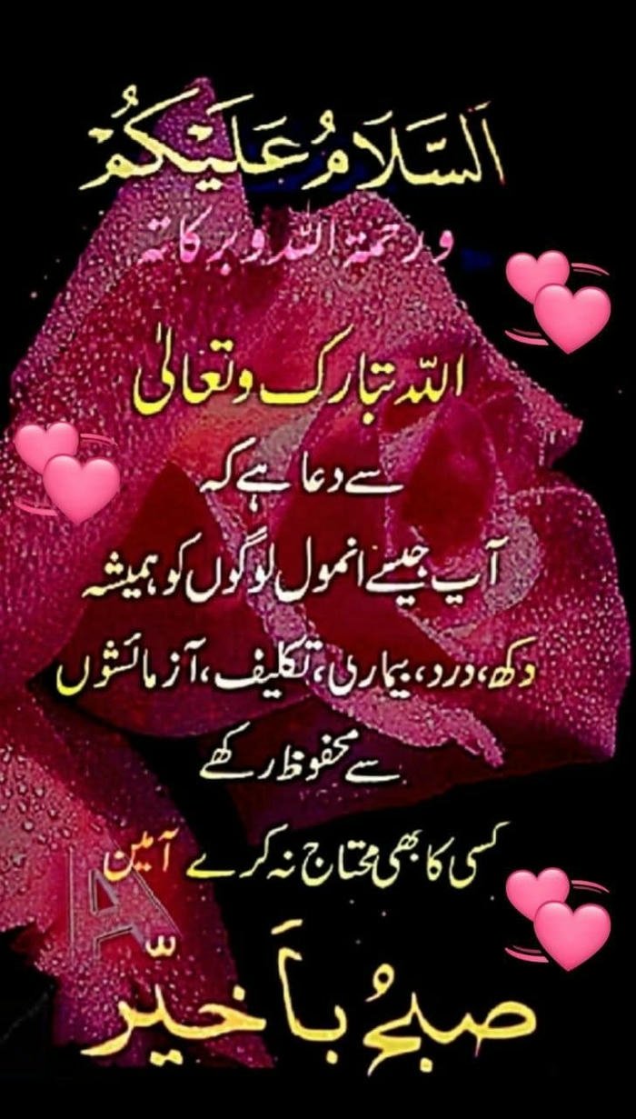 images urdu greeting morning download picture nature smile good in