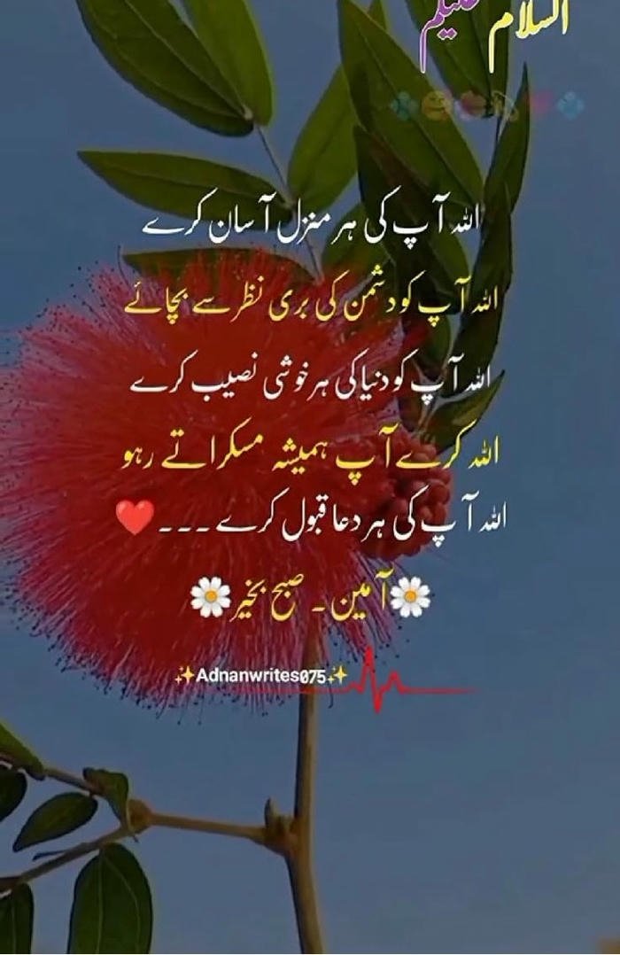 images urdu hd good quotes love smile positive in morning