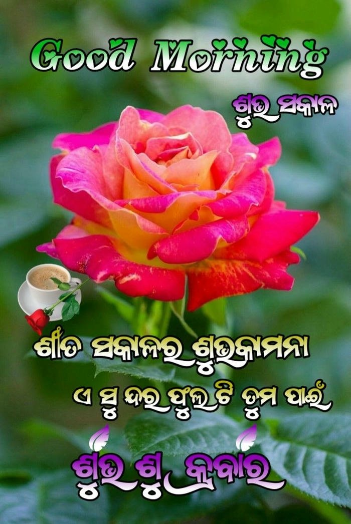 in image greeting flowers odia download good aesthetic morning positive