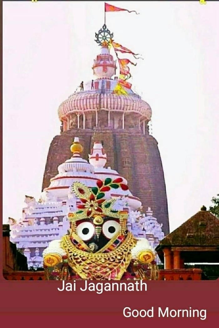jagannath good special morning flowers images peaceful happy hd