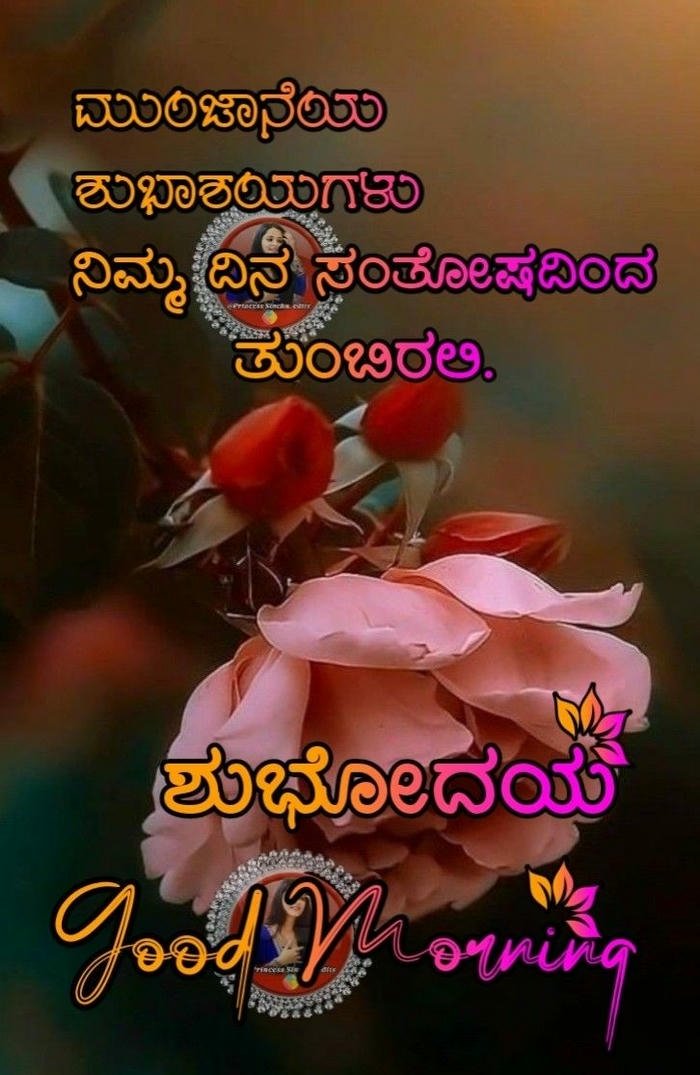 kannada download positive in happy images flowers good morning beautiful