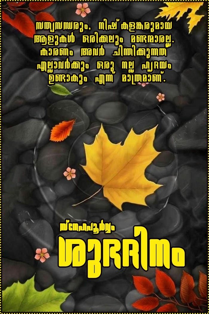 malayalam quotes photo cute images good full hd flowers morning