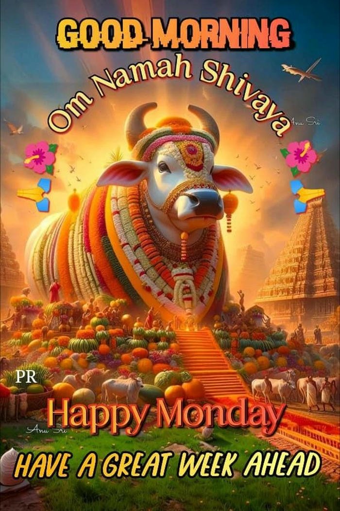 monday photo flowers images god good new morning nature special