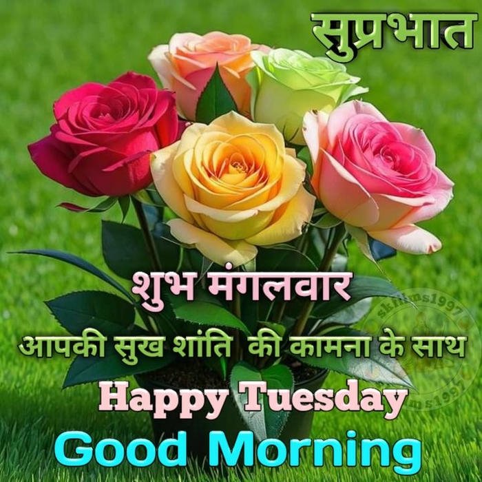 morning 4k happy tuesday beautiful images god good smile nature (2)