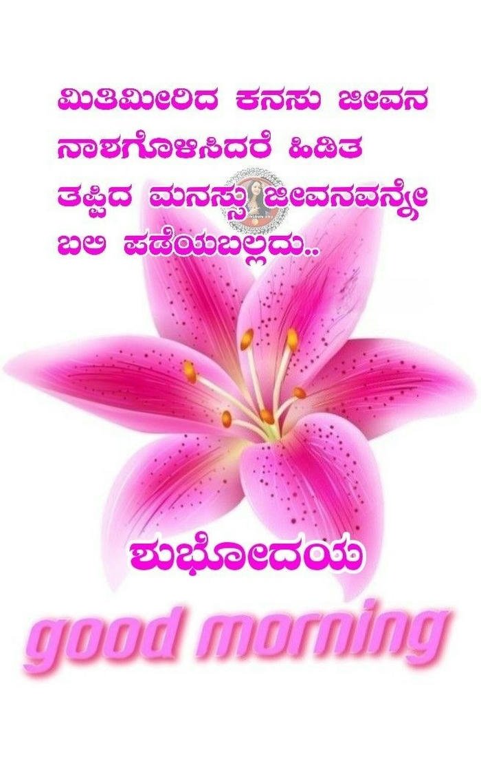 morning beautiful romantic images in hd kannada nature good positive