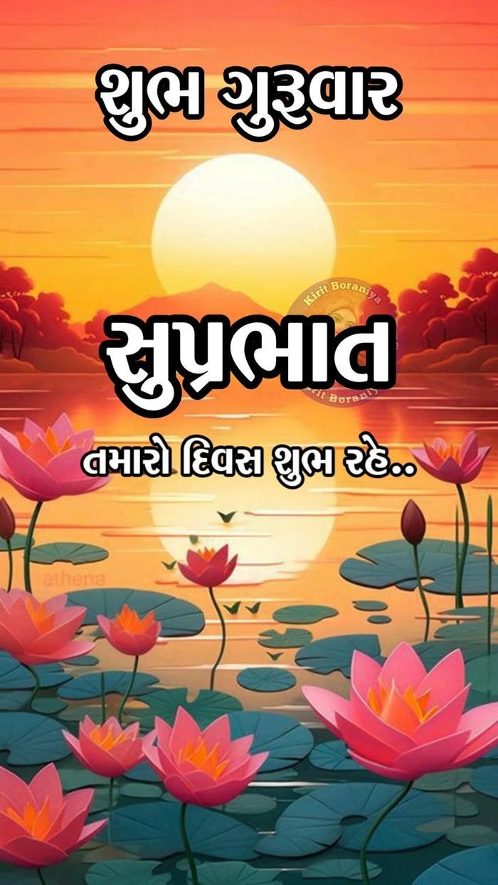 morning greeting good image picture gujarati photo hd photo aesthetic