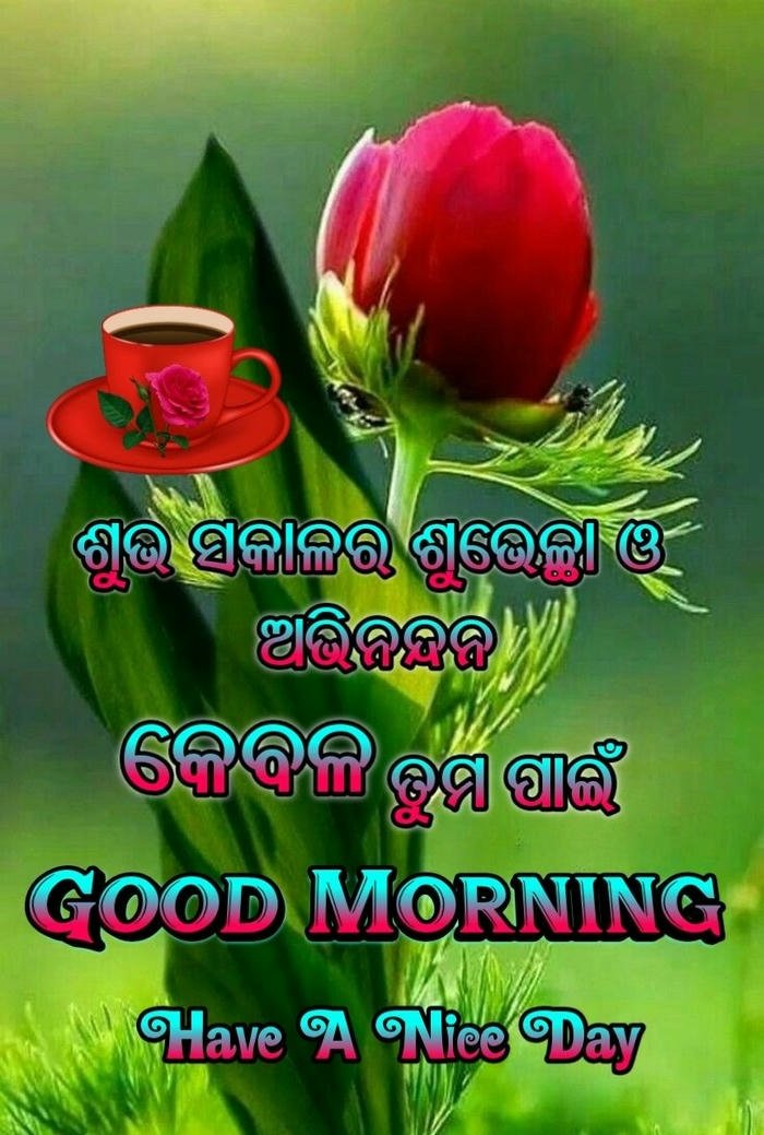 morning in odia blessing image smile photo flowers beautiful good