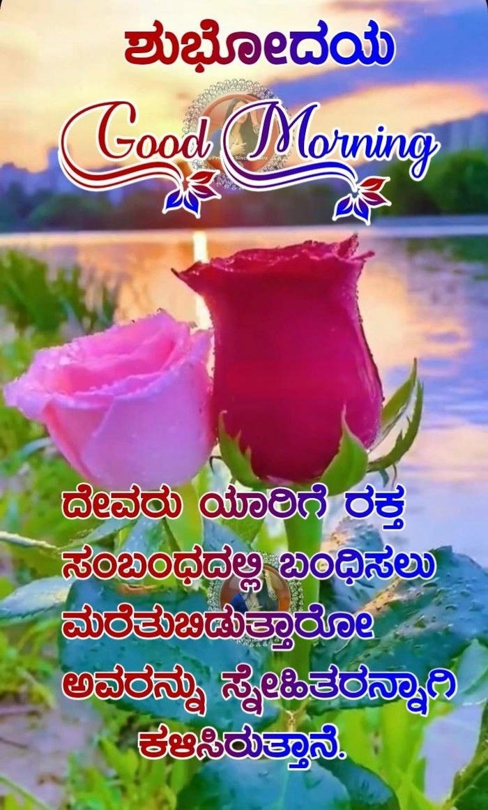 morning love wallpaper in flowers images romantic kannada special good