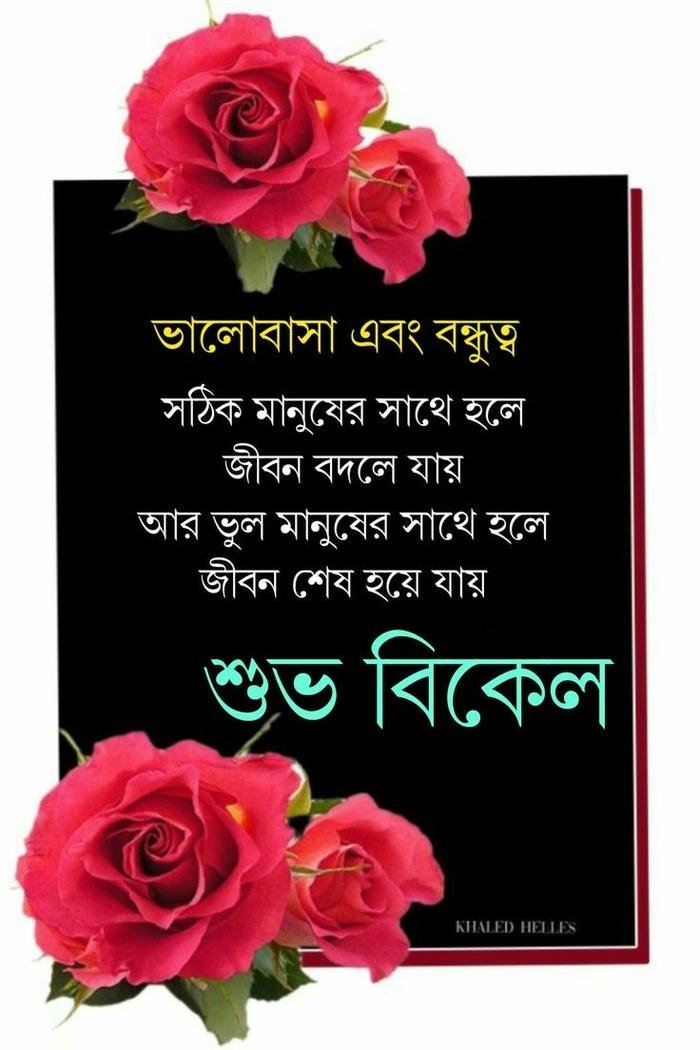 morning positive peaceful smile quotes greeting red images rose good