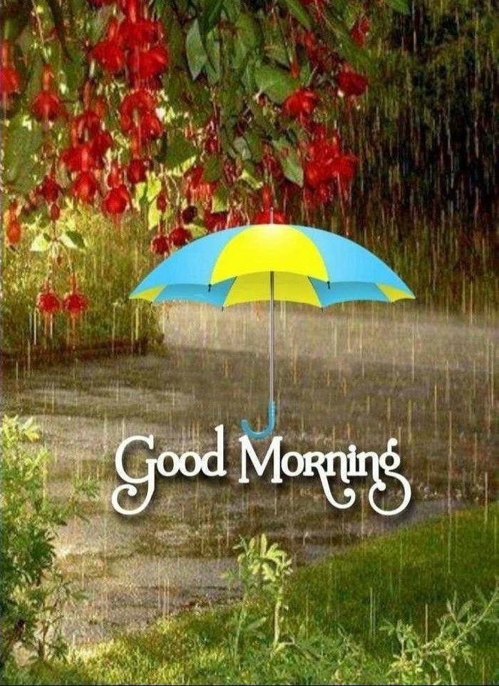 morning quotes images greeting nature rain smile download good