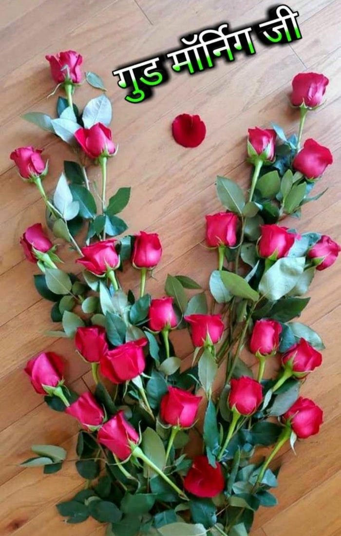 new flowers full hd rose red good aesthetic images blessing morning