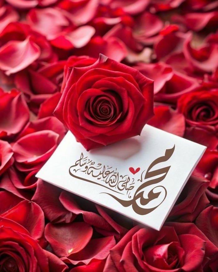 new instagram islamic dp status