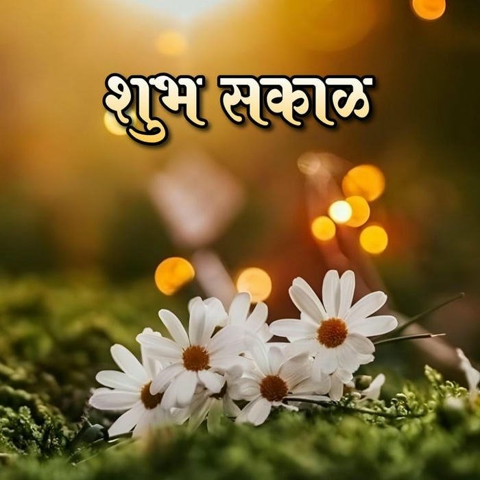 new photo image good morning flowers positive greeting suvichar