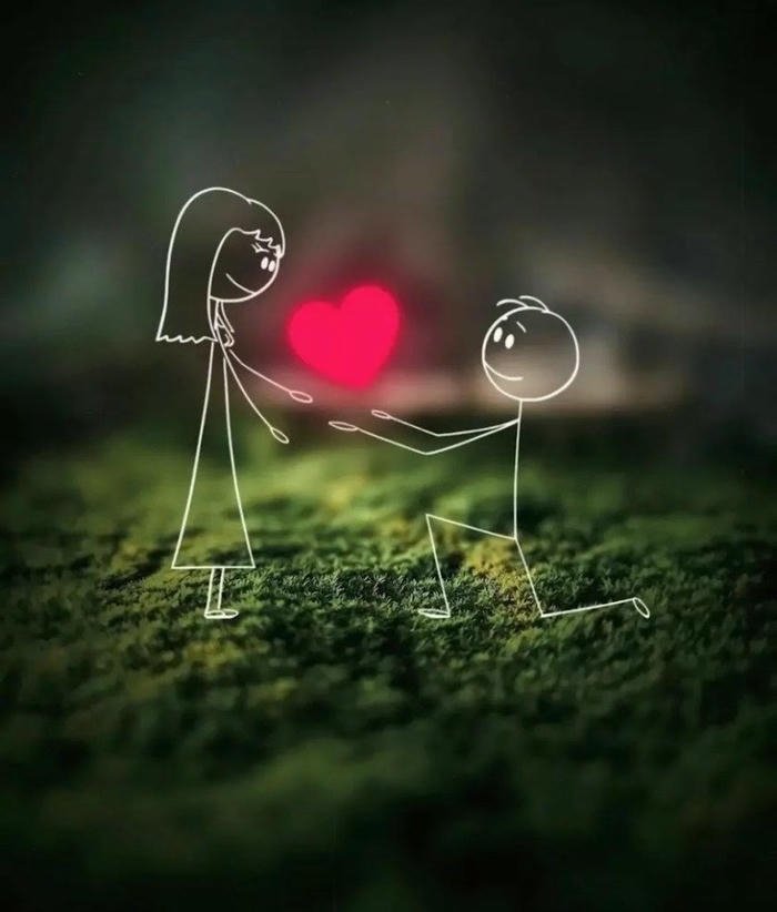 new whatsapp dp 12