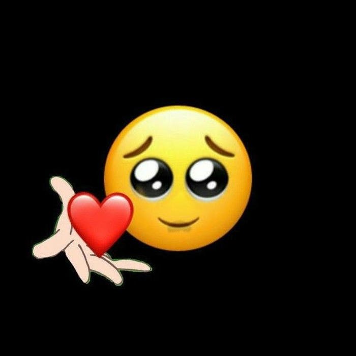 new whatsapp dp 3