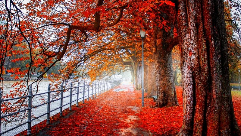 nice pictures look
